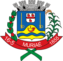 Câmara de Muriaé